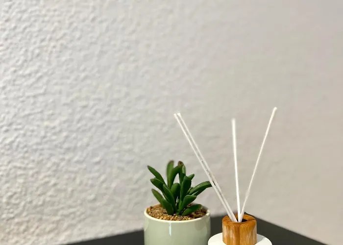 Sali - - Apartmenthaus Wusthoffstrasse Essen